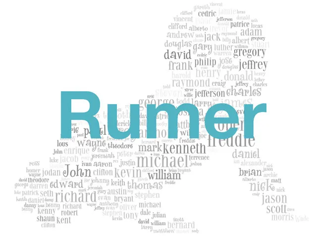 Rumer