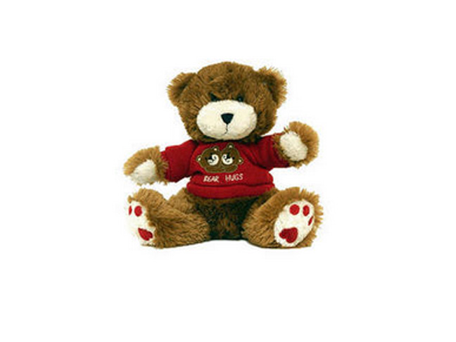 Best Teddy Bear Nanny Cam: Brick House Security Teddy Bear Nanny Cam