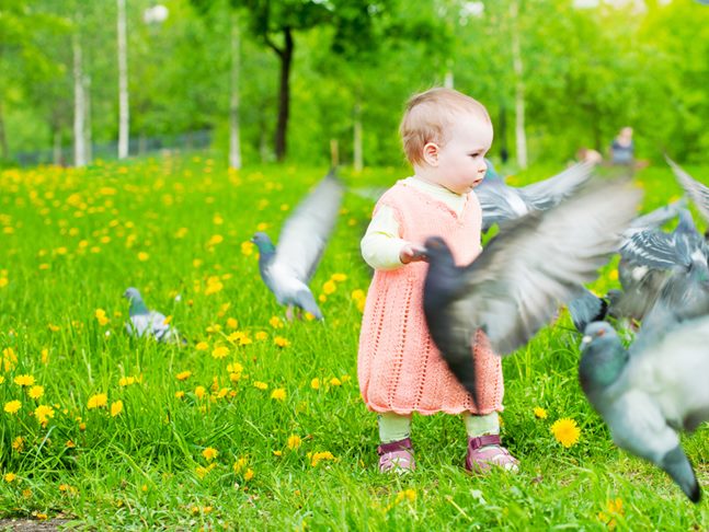 Birdie