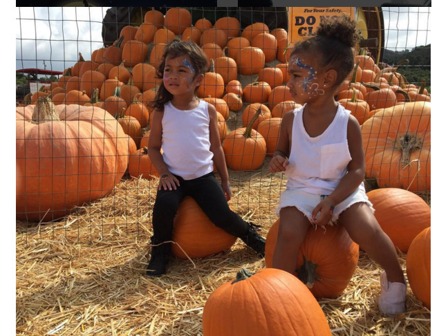 Pumpkin Patch Cuties