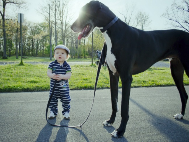 Our All-Time Favorite Photos of Kids & Their Dogs #9
