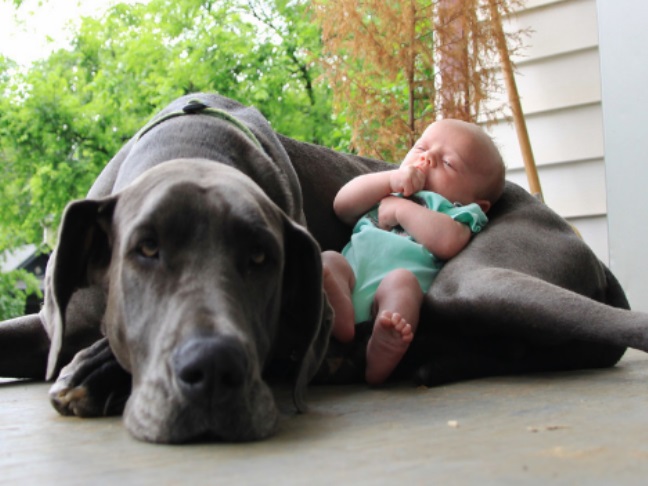 Our All-Time Favorite Photos of Kids & Their Dogs #8