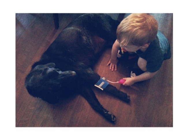 Our All-Time Favorite Photos of Kids & Their Dogs #5