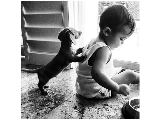 Our All-Time Favorite Photos of Kids & Their Dogs #16