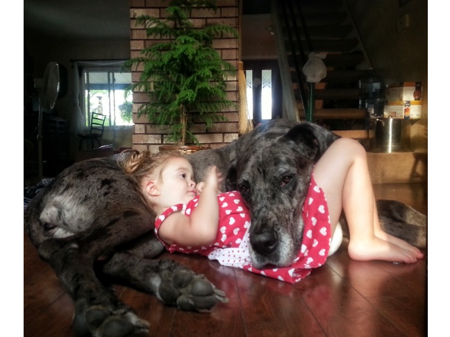 Our All-Time Favorite Photos of Kids & Their Dogs #7