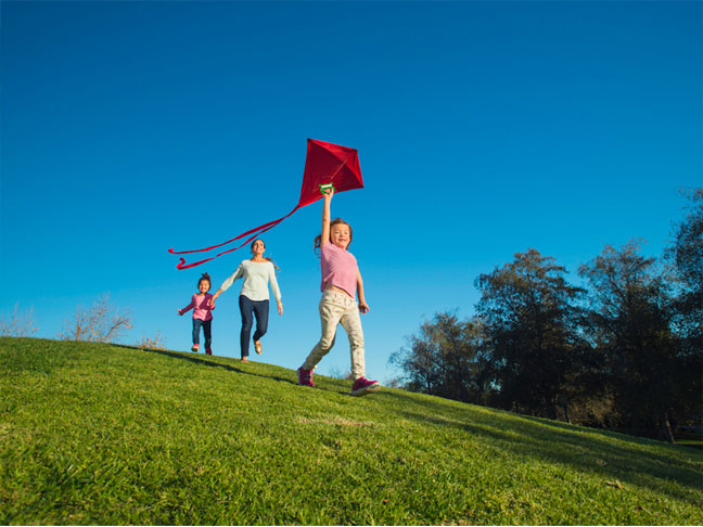 Fly kites at home in the park