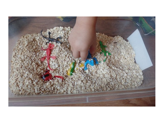 Sensory Bins