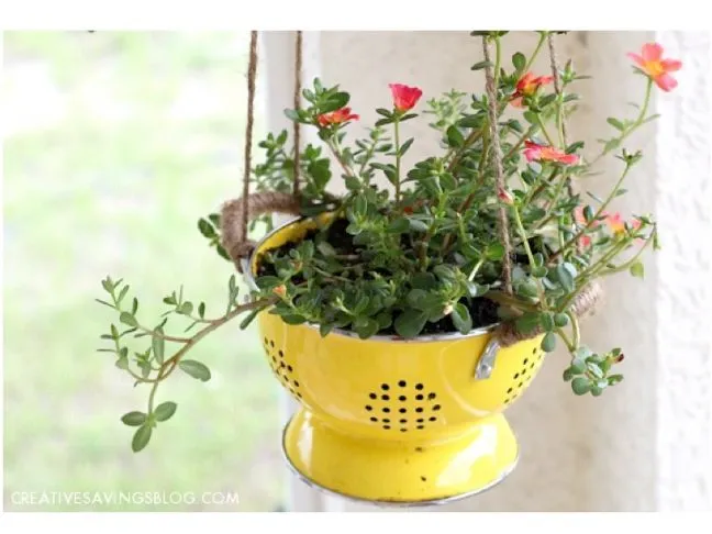 DIY Colander Planter