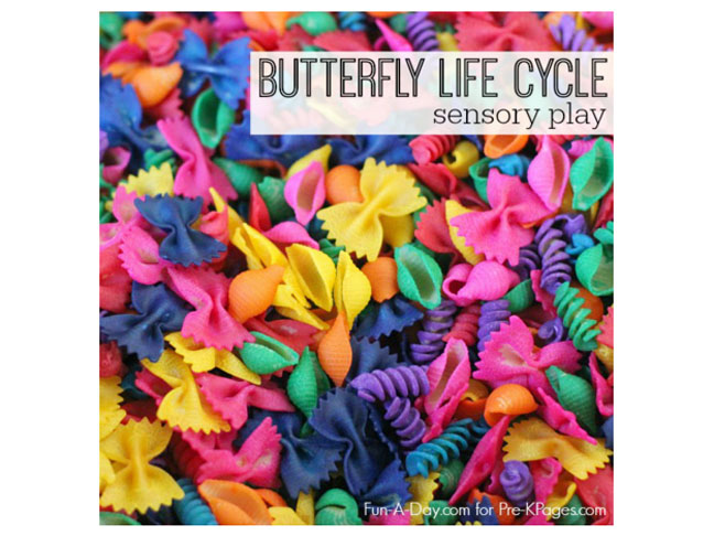 Butterfly Life Cycle Sensory Bin
