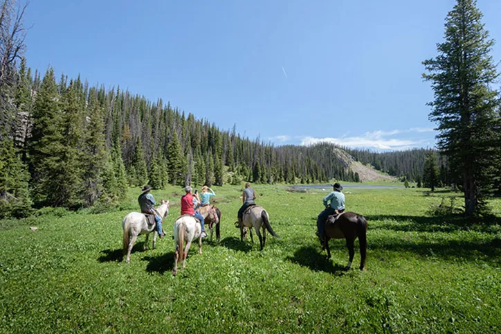 Medicine Bow Lodge