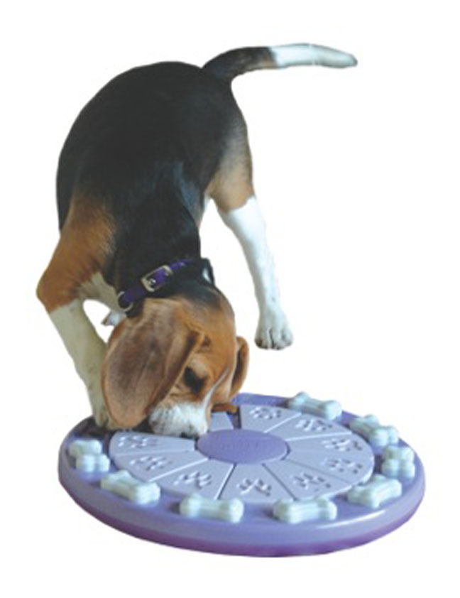 Puzzle Toys and Board games for Both Dogs and Cats