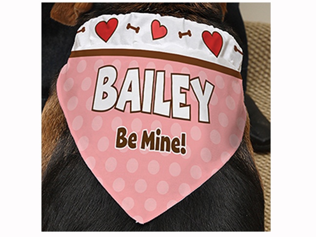 Valentine’s Day Personalized Dog Bandana