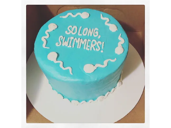 So Long Swimmers Vasectomy Cake