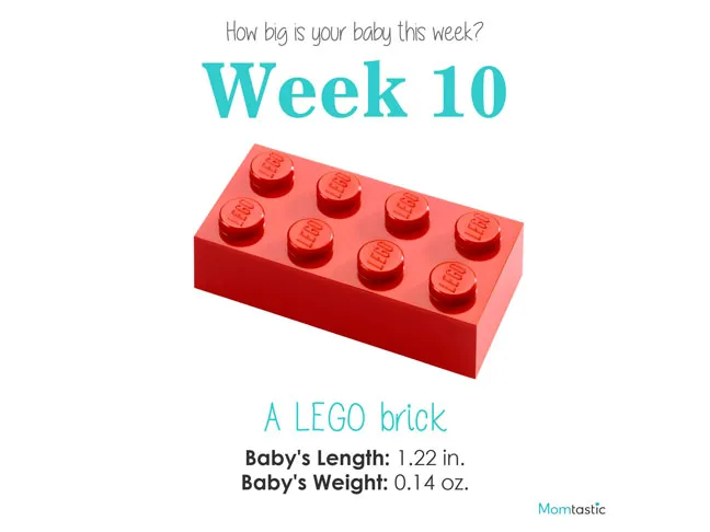 Week 10