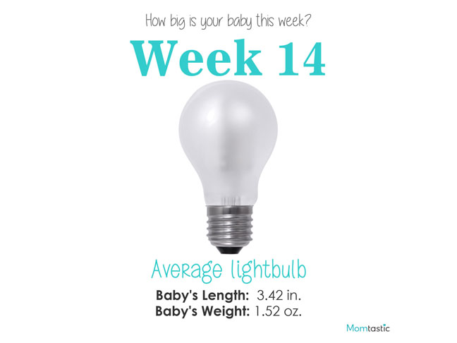 Week 14