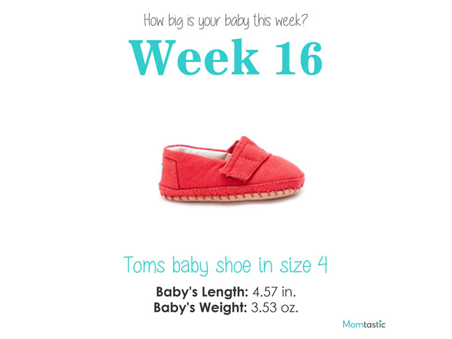 Week 16