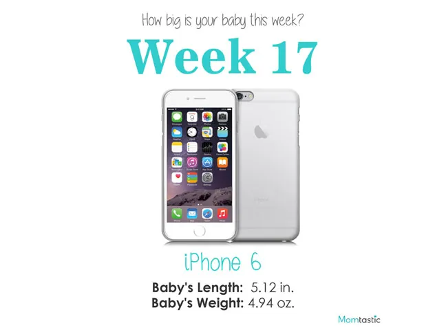 Week 17