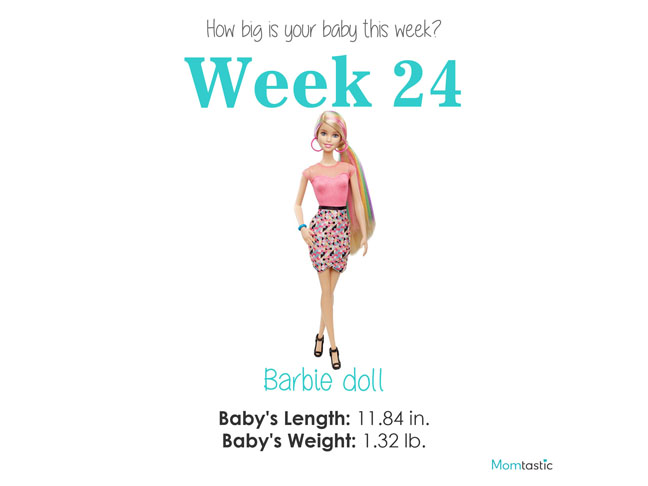 Week 24