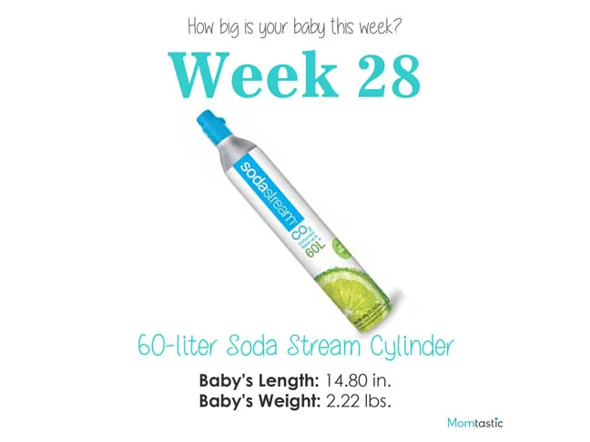 Week 28