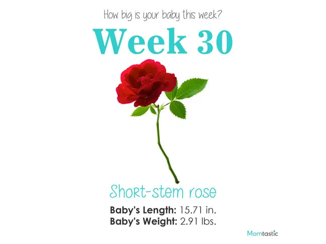 Week 30