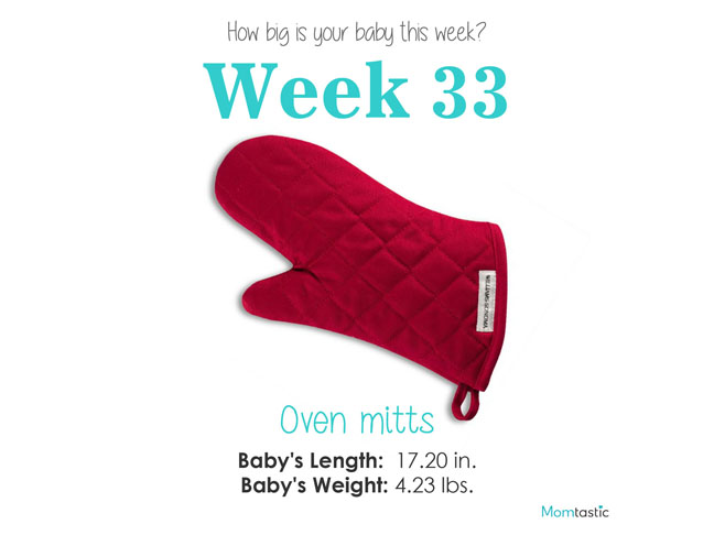 Week 33