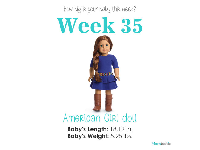 Week 35