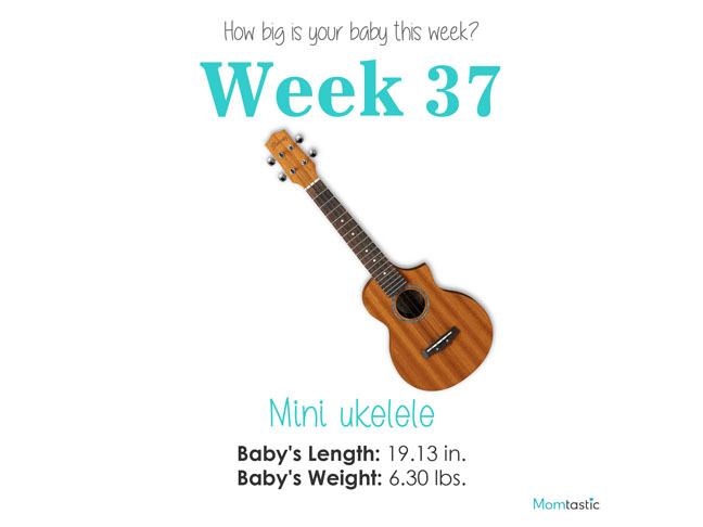 Week 37