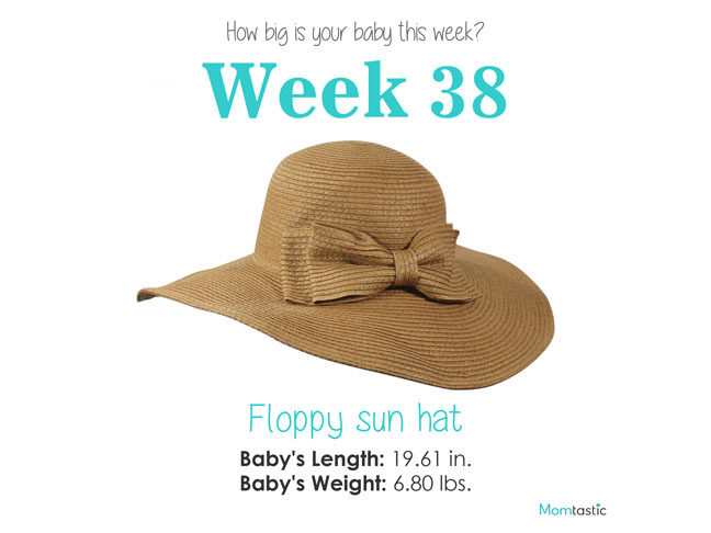 Week 38