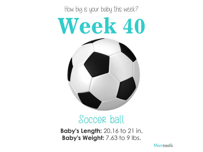 Week 40